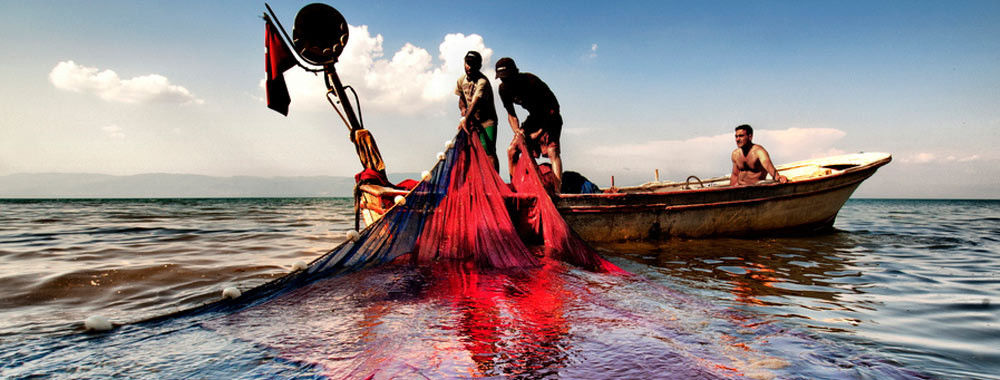 China el mejor Redes de pesca del HDPE en ventas