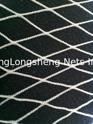fish landing Monofilament Fishing Nets